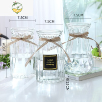 YICHENG[四件套]北欧玻璃花瓶透明水培植物富贵竹百合客厅花器插花摆件 M15(贴标+竖菱+南瓜)透明 大