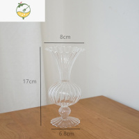 YICHENG条纹透明玻璃花瓶ins北欧创意简约装饰摆件客厅插花水培植物花器 小号 喇叭口透明