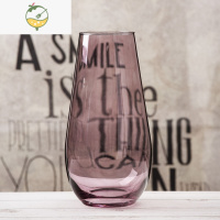 YICHENG北欧 创意恐龙蛋造型花器客厅鲜花插花玻璃花瓶透明 大号装饰摆设 酒红色 25CM恐龙蛋A1 大