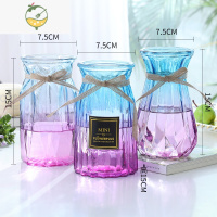 YICHENG[四件套]北欧玻璃花瓶透明水培植物富贵竹百合客厅花器插花摆件 M15(贴标+竖菱+南瓜)蓝/紫 大