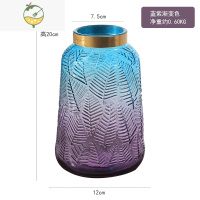 YICHENG北欧风渐变色玻璃花瓶透明干花插花创意客厅水养花器餐桌装饰摆件 蓝紫渐变色