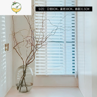 YICHENG龙柳花瓶玻璃透明龙柳枝高款插花长枝干支龙柳鲜枝干枝插树枝花器 Natura Morta独立设计师款