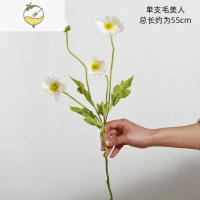 YICHENG北欧创意手提透明玻璃花瓶摆件简约现代干花插花器客厅餐桌面装饰 1枝毛鱼美人 白色[特惠]