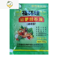 YICHENG水培器皿郁金香水培瓶玻璃花盆植物花器花瓶正方形垫水小石头 液2袋 中等