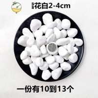 YICHENG水培器皿郁金香水培瓶玻璃花盆植物花器花瓶正方形垫水小石头 水培小石头2份 中等