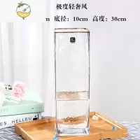 YICHENG花瓶摆件客厅插花北欧轻奢金边透明玻璃花器鲜花银柳满天星水培瓶 方形金边轻奢风[10*30]