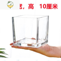 YICHENG水培器皿郁金香水培瓶玻璃花盆植物花器花瓶正方形垫水小石头 水培方形玻璃瓶 中等