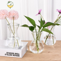 YICHENG水培器皿郁金香水培瓶玻璃花盆植物花器花瓶正方形垫水小石头 风信子玻璃瓶1个 中等