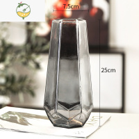 YICHENG北欧简约创意玻璃花瓶透明水养插花瓶干花百合花客厅摆件网红花器 六边形(中号)烟灰 中等