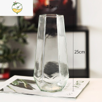 YICHENG北欧简约创意玻璃花瓶透明水养插花瓶干花百合花客厅摆件网红花器 六边形(中号)简单明 中等