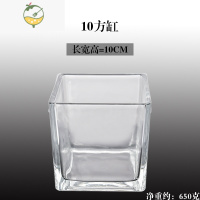YICHENG创意玻璃花盆绿萝白掌花瓶水培器皿水养植物瓶透明花器正方形容器 10方缸