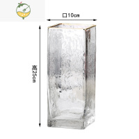 YICHENG雪柳花瓶玻璃透明养雪柳枝高款插花长枝干枝插树枝雪柳鲜枝瓶花器 SOREMO小众艺术花器(C款) 中等