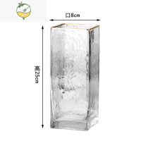YICHENG雪柳花瓶玻璃透明养雪柳枝高款插花长枝干枝插树枝雪柳鲜枝瓶花器 SOREMO小众艺术花器(B款) 中等