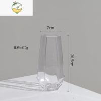 YICHENG网红北欧简约创意玻璃花瓶透明水养插花玫瑰百合花器客厅摆件家用 透明小号