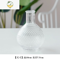 YICHENG北欧陶瓷花盆玻璃花瓶餐桌盆栽客厅插花装饰鲜花绿植干花摆件花器 紫红色 浮雕大地球