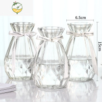 YICHENG玻璃花瓶透明客厅满天星适合的摆件水培富贵竹百合鲜花插花瓶花器 15钻石透明*3 中等
