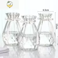 YICHENG玻璃花瓶透明客厅满天星适合的摆件水培富贵竹百合鲜花插花瓶花器 15钻石透明*3 中等