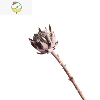 YICHENG侘寂北欧风玻璃花瓶摆件客厅电视柜装饰餐桌面创意艺术干花插花器 仿真帝王花