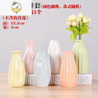 YICHENG陶瓷满天星小花瓶清新水培干插花器玻璃透明客厅卧室餐桌摆件 混搭[五件套]