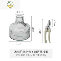 YICHENG轻奢北欧风透明玻璃花瓶客厅创意摆件水培鲜花插花器 冰川花瓶小号+园艺剪