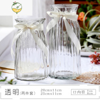 YICHENG小清新文艺透明玻璃花瓶ins欧式水培插干花花器 客厅摆件家居花瓶 透明色套装(特惠)
