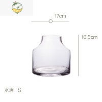 YICHENG 透明大肚玻璃花瓶客厅餐桌水培小天使春羽绿萝花器 水涧 花瓶小口