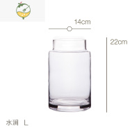 YICHENG 透明大肚玻璃花瓶客厅餐桌水培小天使春羽绿萝花器 水涧 花瓶高款