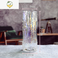 YICHENG北欧创意简约玻璃花瓶透明插花水养鲜花百合干花客厅餐桌摆件花器 1230树皮纹直筒[七彩] 中等