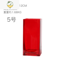 YICHENG方形红色玻璃花瓶绿萝水培富贵竹大号落地家居软装花器40 50 60cm 5号 宽12高25cm