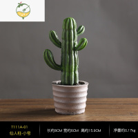 YICHENG轻奢仿真仙人掌摆件桌面客厅酒柜办公室ins风个性家居装饰品