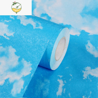 YICHENG自粘防水墙纸天花板立体壁纸创意墙贴儿童房3D贴纸装饰 自粘蓝天白云 61厘米宽*5米长 [送工具] 大