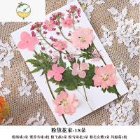 YICHENG创意手工diy干花制作材料金属玻璃相框4 6寸摆台植物标本押花画框 粉黛花束-18朵 其他尺寸
