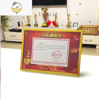 YICHENG入伍通知书装裱相框铝合金外框荣誉摆台奖牌摆挂两用挂墙纪念 铝合金A款-(有机玻璃+花边) [摆挂两用] 通