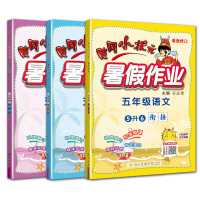 [套装3册]2021暑假作业-五年级数学+语文+英语 小学5年级同步练习册5升6下册书五升六上册假期衔接天天练复习资料