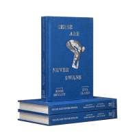 英文原版 鹅从来不是天鹅 Geese Are Never Swans 科比新书 科比布莱恩特 NBA 青少年体育小说 K