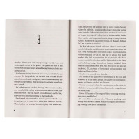 Holes 别有洞天 英文原版 洞 纽伯瑞金奖 青少年课外阅读故事书 儿童文学原著小说书籍 Louis Sachar 获