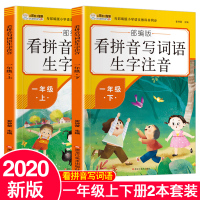 看拼音写词语写汉字一年级上册下册全套2本部编版1年级语文教材课本同步训练默 写组词生字注音专项练习本天天练2020小学