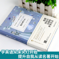 包法利夫人 床头灯英语3000词读物 床头灯系列中英文原版小说 英语分级阅读高中生高考课外阅读书籍可搭书虫牛津英汉双