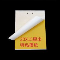 黄色粘虫板蓝板果树粘蝇板诱虫贴大棚苍蝇贴飞虫菜园双面粘虫黄板 40张 黄板特粘覆纸20X15cm