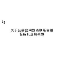 苔藓球 水培微景观绿植盆栽 水苔球镜面草赤楠六月雪桌面摆件 苔球盆问题请联系客服(托盘随机) 带盆(托盘随机或咨询客服)