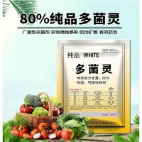 多菌灵80%广谱杀菌剂防黑腐枯叶烟煤白粉病多肉花卉果蔬植物通用 100克80%多菌灵 1包