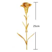 母亲节生日礼物送妈妈发光玫瑰花束康乃馨礼盒中秋节婆婆长辈老婆 金色康乃馨 裸花无礼盒