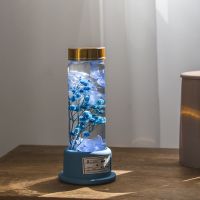 圣诞节永生花生日礼物女送女生朋友闺蜜创意走心精致少女心礼物 梦+B款蓝色底托无灯版