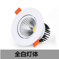 led射灯嵌入式家装可调节天花灯孔洞客厅过道背景墙装饰三色变光 全白色灯体 小3瓦开孔5-6cm白光