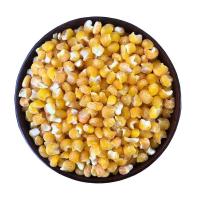 新豆1斤2斤5斤东北紫花芸豆子四季豆煮饭豆大碴粥用腰豆五谷杂粮 大碴子2斤