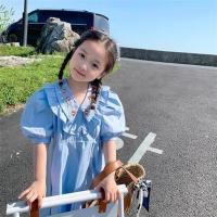 2021女宝宝刺绣连衣裙夏装装新款韩版洋气清新女童森系公主裙子潮 浅蓝 [断码清仓 特价处理] 110