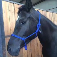 聚皓马术用品美式调教马笼头手工编织马驴骡调教龙套西部骑马龙头 普通笼头一个 颜色随机发货