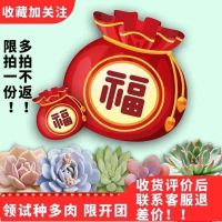 [含盆土]芦荟盆栽多肉植物仙人球室内绿植花卉防辐射吸甲醛盆栽 新人两颗多肉试养[只限开团]
