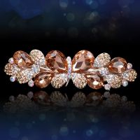 水钻头饰蝴蝶发夹优雅妈妈发卡韩国成人顶夹后脑勺马尾夹头花发网 香槟色不带网兜