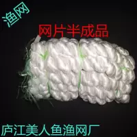 渔网网片半成品粘网丝网捕鱼网鱼丝网片挂鱼网沾网片鲫鱼白条网片 5分0.3米高4000眼长